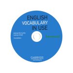 English Vocabulary In Use Advanced