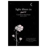 Light Filters In Poems