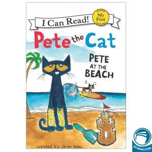 Pete the Cat Pete at the Beach