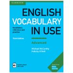 English Vocabulary In Use Advanced