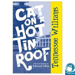 Cat on a Hot Tin Roof